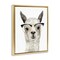 Stupell Industries Farm Animal Llama In Glasses Black Framed Floater Canvas Wall Art